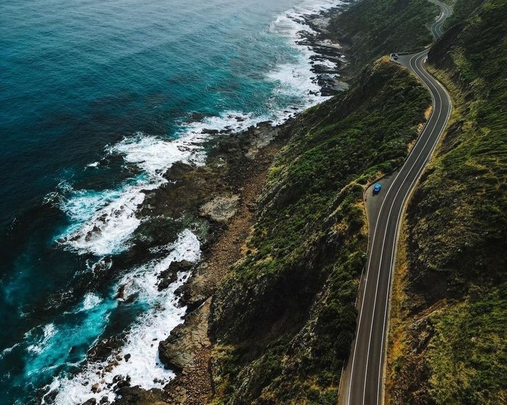 uc-hanh-trinh-xanh-tai-xu-so-chuot-tui-1